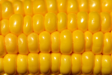 Corn detail