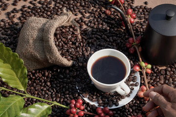 Americano coffee in a white coffee cup with raw and roasted coffee beans background...