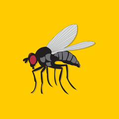 Insect fly vector.