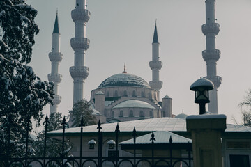 Fototapety na wymiar - Fototapeta24.pl