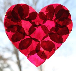 A red heart made of pressed rose petals in glass, a romantic valentines, wedding or anniversary image 