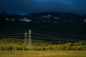 Fototapeta premium electric pole lines in nature