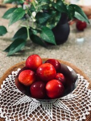 plum on the table