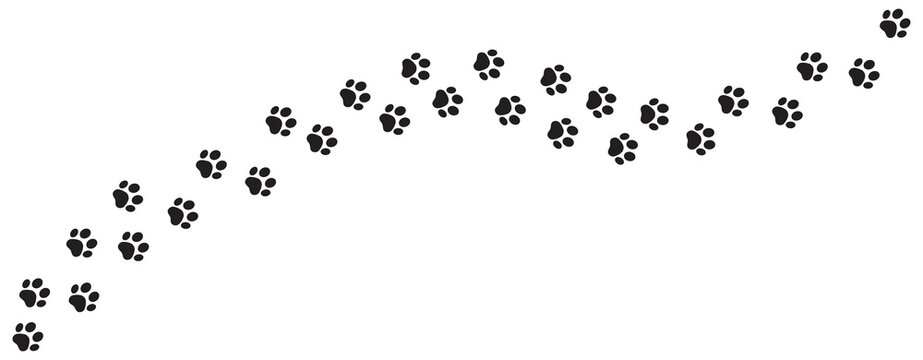 Paw print foot trail Dog on white background. cat paw print.  paw print walk line path pattern,  Vector illustration