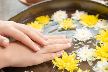 Female hands and bowl of spa water with flowers, close up. Hands Spa.Manicure concept.