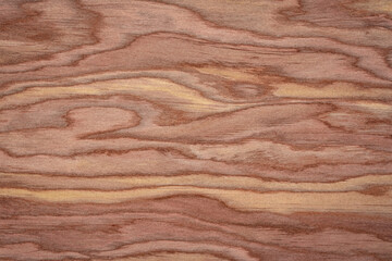 background and texture of wood veneer - red cedar tree