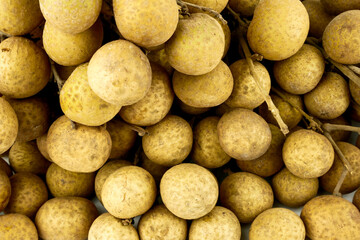 Branch Longan (Dimocarpus longan) isolated on white background. Famous fruit Central of Thailand