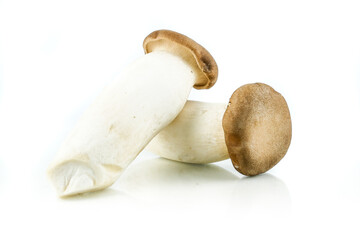 King oyster mushroom, (origin) Pleurotus eryngii mushroom isolated on white background