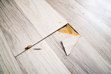 Destroyed Laminate Floor