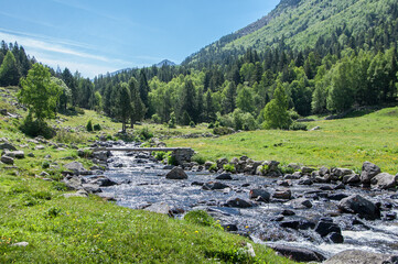Fototapeta na wymiar Rutas de senderismo por los ríos del Pirineo. Vall de Madriu. Andorra