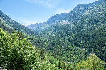 Fototapeta na wymiar Vistas de las montañas del Pirineos. Valles y bosques mágicos