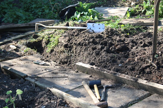Garden landscape of bare soil being prepared dug over with fork and spade and weeds removed from earth the allotment raised bed for Spring planting surrounded by slabs for pathway under construction