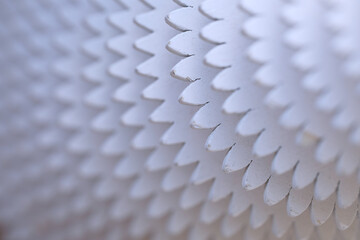 White background. Abstraction. Concentric wooden circles similar to gears.