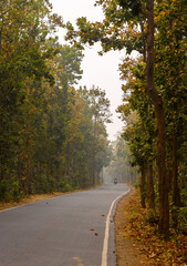 Zig Zag Road with forest surrounded. 