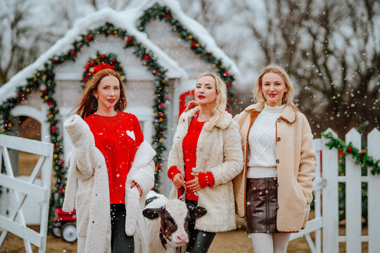 Three young pretty women in white and red winter clothes posing with small white and black bull against decorated ranch under the snowing.