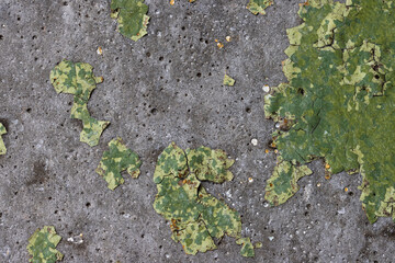 Peeling paint on the wall. Old concrete wall with cracked flaking paint. Weathered rough painted surface with patterns of cracks and peeling. Grunge texture for background and design. High resolution.