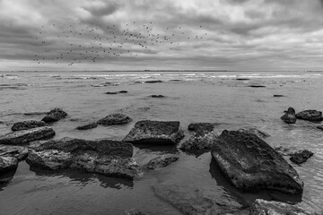 Rocky seashore in cloudy weather