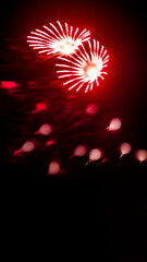 Fireworks for Celebration or Congratulations Holiday card 4th Fourth of July Blurred on purpose Oak...