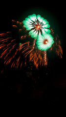 Fireworks for Celebration or Congratulations Holiday card 4th Fourth of July Blurred on purpose Oak...