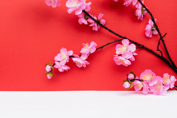 Obraz na płótnie Canvas Sakura Blossom on White and Red Backgrounds with Copy Space