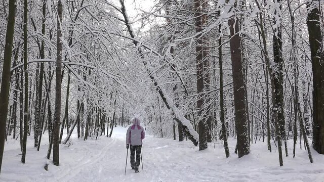 Nordic walking girl in a winter snowy park.
