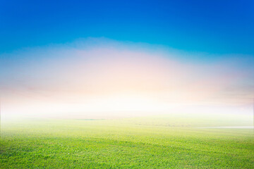 Fototapeta na wymiar Meadow landscape and outdoor sky On a blurred background Abstract style