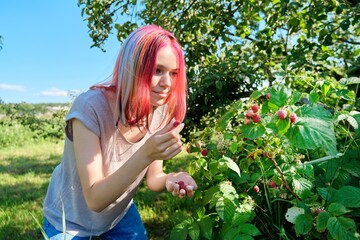 Young woman teenager picking ripe red raspberries from bush