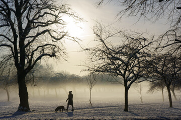 A woman walking her dog along a snowy path on a foggy morning in January, The Stray, Harrogate, North Yorkshire, England, U.K.