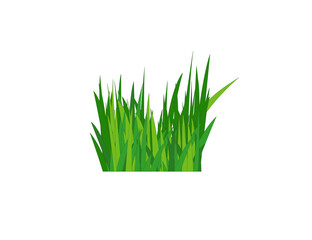 Flat green grass. Gazon. Vector icon. web version.