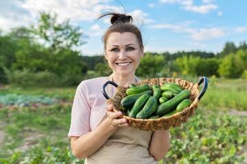 Smiling mature woman with basket of fresh plucked cucumbers