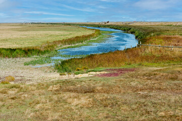 The Swale National Nature Reserve on the Isle of Sheppey in Kent, England