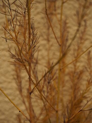 Obraz premium minimalism