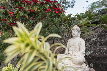 Buda no Jardim