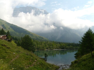 Naklejka na ściany i meble Vallée de Derborence en Suisse. Lac de montagne entouré de sapins- Ciel et nuages.
