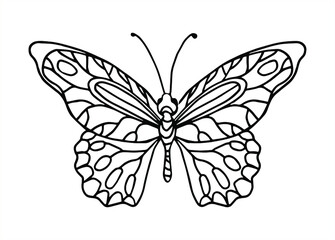 Vector hand drawn butterfly. Line art illustration for coloring book. Anti stress hobby