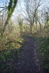 Melford Country Park, Suffolk, Sudbury, January 2021