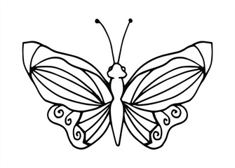 Vector hand drawn butterfly. Line art illustration for coloring book. Anti stress hobby