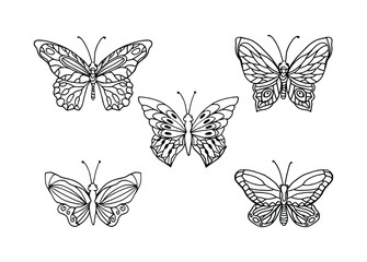 Plakat Vector hand drawn butterfly. Line art illustration for coloring book. Anti stress hobby