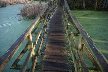 Wooden bridge over the lakes and ponds in Melford Country Park, Suffolk, UK, January 2021