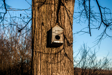 Wooden birdhouse closeup on big tree in sunny autumn day