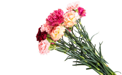 Fototapeta premium bouquet of carnations isolated