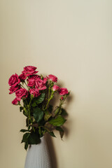 Pink roses in a vase on a trendy beige background. The concept of the coming of spring and women's day.