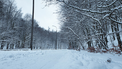 Winter forest. Street and sidewalk in a snowy forest, without people.