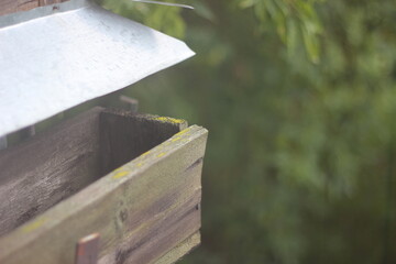 Window view of a rainy old flower box