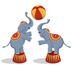 Vector illustration circus elephants playing ball. © NADEZHDA