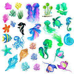 Underwater world, Watercolor elements, marine animals, Ocean inhabitants, Watercolor sea animals, fish, plants, shells