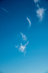 Plumes of clouds over blue sky
