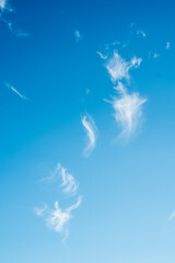 Plumes of clouds over blue sky