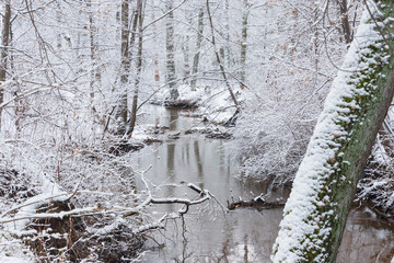 Mała rzeka w zimowej scenerii. © boguslavus
