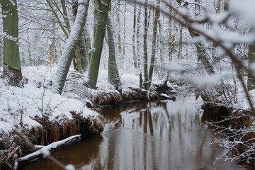 Mała rzeka w zimowej scenerii. © boguslavus